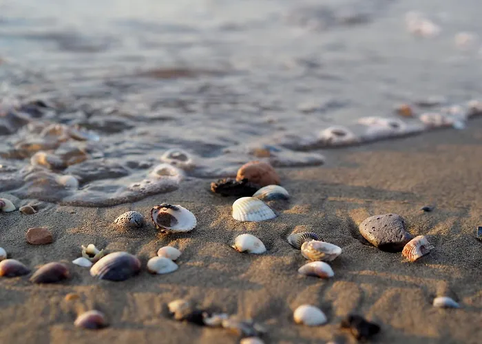 Spacious By The * Bibione